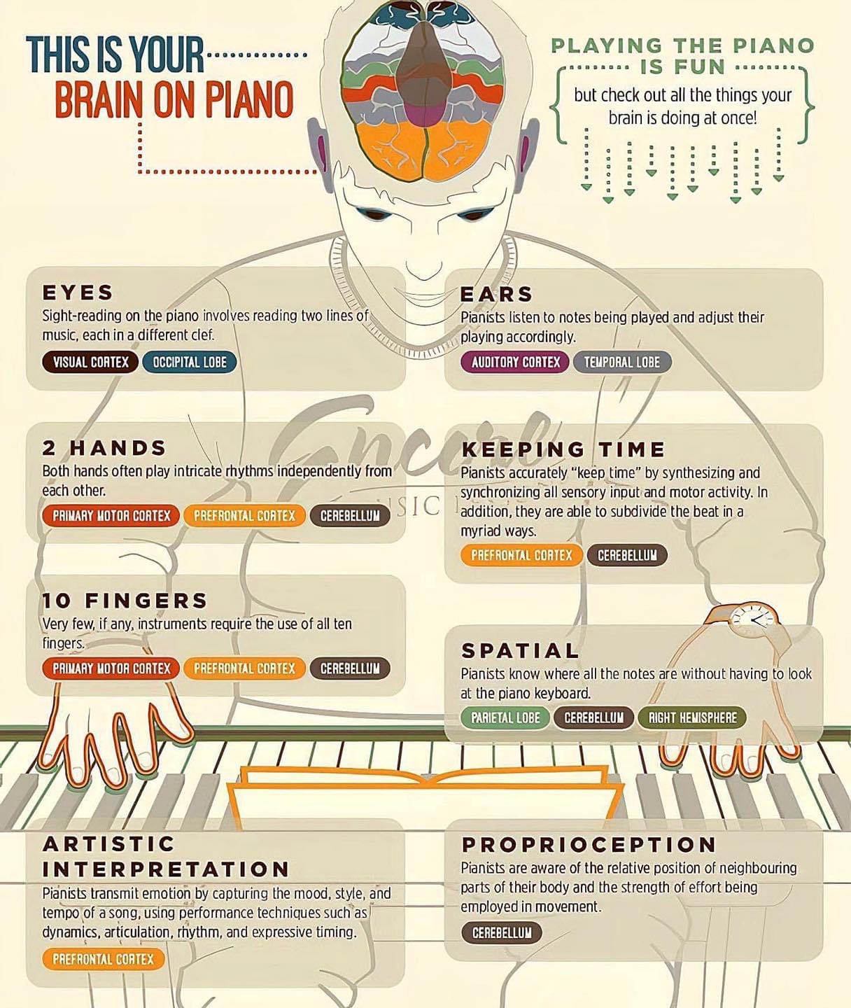 Piano goed voor de hersenen